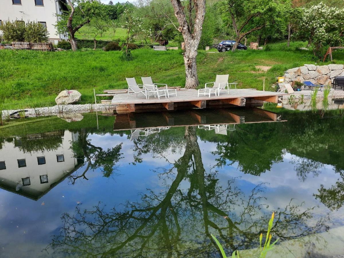 Loft-Like Apartment In Scheibbs With Swimming Pond Exterior photo